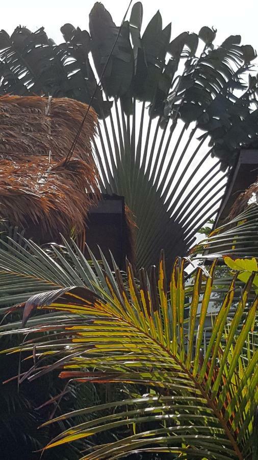Sabandy House B&B Padang Mat Sirat Buitenkant foto